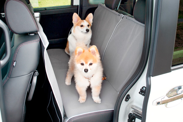 Honda DoguSippo Festa 2025~voWTv