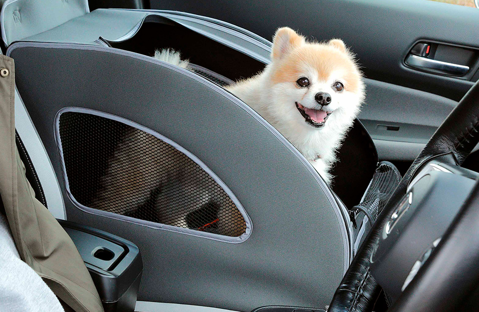 ���������p�A�N�Z�T���[�uHonda Dog�v�V���[�Y �y�b�g�V�[�g�v���X���2