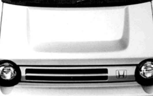 ビッグパワーバルジ写真