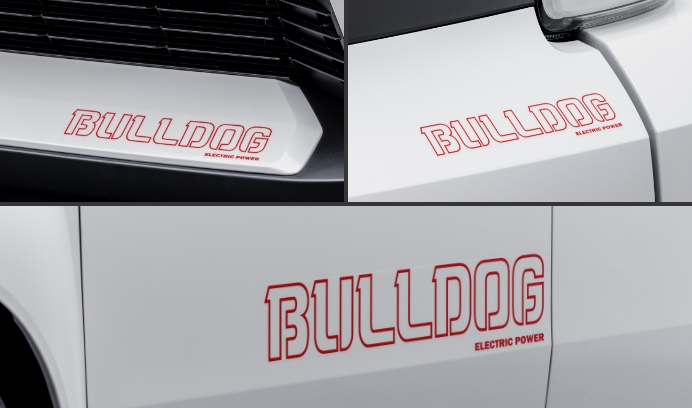 デカール BULLDOG写真