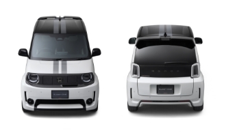 デカール  センターストライプ写真