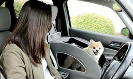 ドッグアイテム