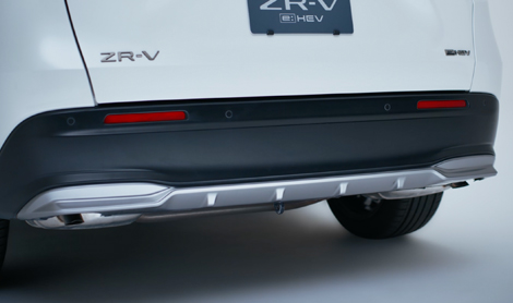 リアロアーガーニッシュ写真