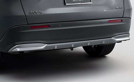 リアロアーガーニッシュ