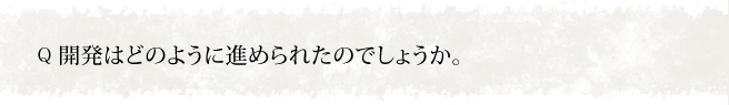 開発はどのように進められたのでしょうか。