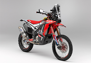 CRF450 RALLY