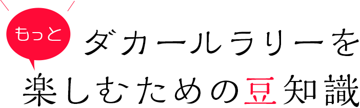 ダカールラリーをもっと楽しむための豆知識