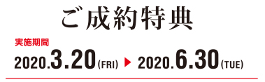実施期間:2020/3/20~6/30