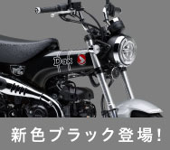 新色ブラック登場