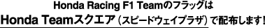 HondaRacingF1Team̃tbOHondaTeamXNGAiXs[hEFCvUjŔzz܂