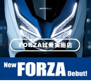 NEW FORZA Debut!