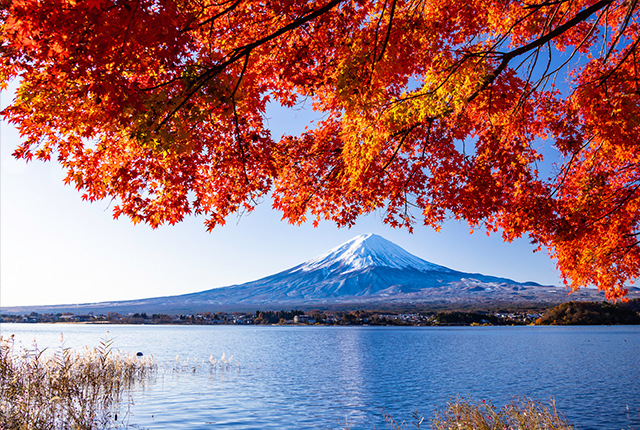 カメラを手に、フォトジェニックな紅葉スポットを巡るのもおすすめです。