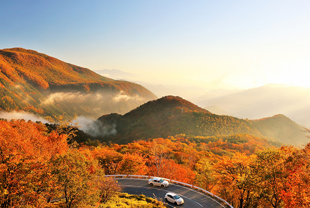 紅葉スポットの多い山道は、坂やカーブが続くため、運転にはいつも以上に注意が必要です。