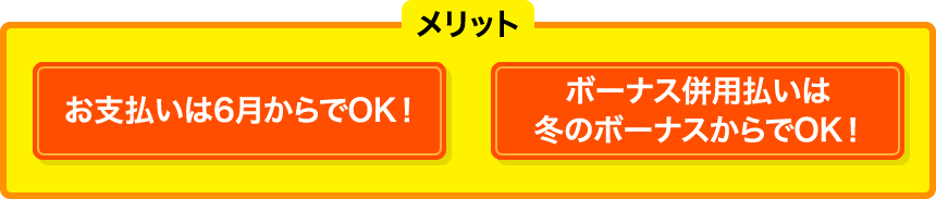 メリット お支払いは6月からでOK！ ボーナス併用払いは冬のボーナスからでOK！