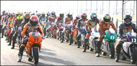 NSF100 HRCgtB[ Oh`sIVbv2008