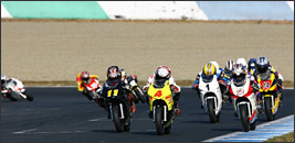 NSF100 HRCgtB[ Oh`sIVbv2008