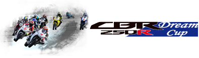 CBR250R Dream Cup