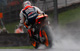 DANI PEDROSA