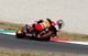 DANI PEDROSA