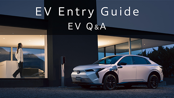 INSIGHT EV Entry Guide