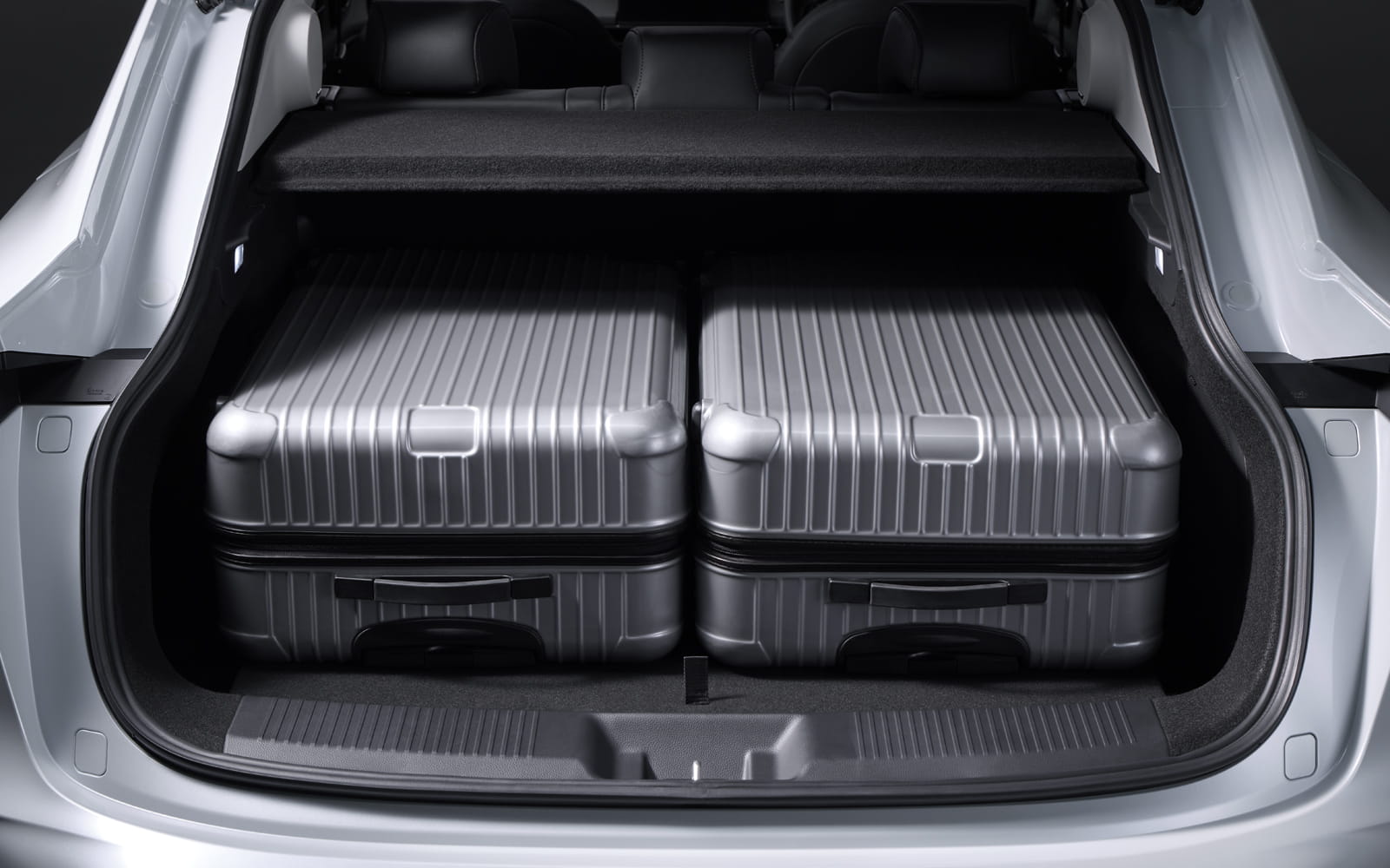 カーゴリッド上段_スーツケース2個