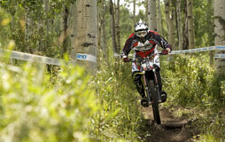 NORBA 7 Rh