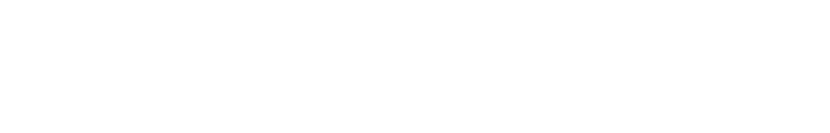 N-VANをさらに使いやすくする、
おすすめのディーラーオプション。