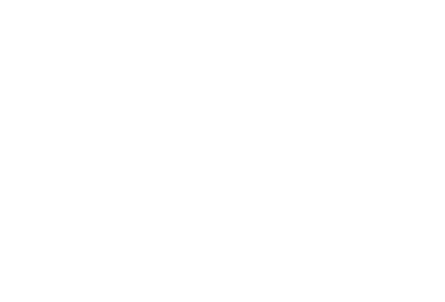 現場の声 N-VANとはたらくみなさんに、使い心地を聞きました。