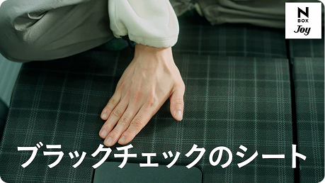 ブラックチェックのシート