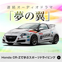 Honda CR-ZŊwԃX|[chCrOu̗v