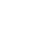 8 August