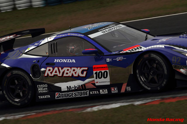 RAYBRIG HSV-010