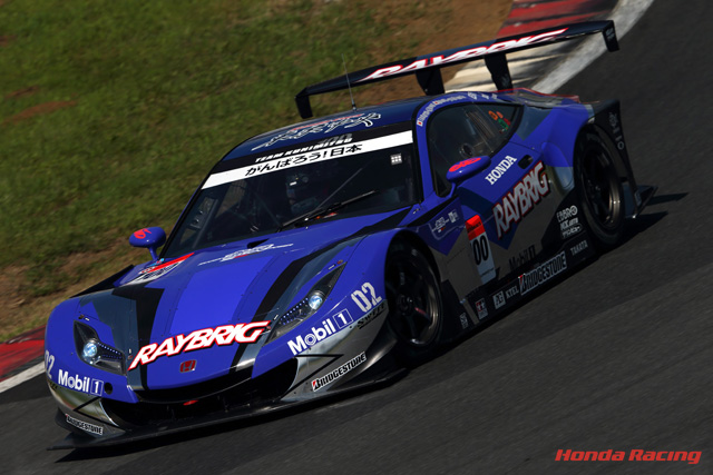 RAYBRIG HSV-010