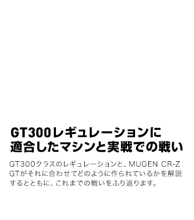 GT300M[VɓK}VƎł̐킢