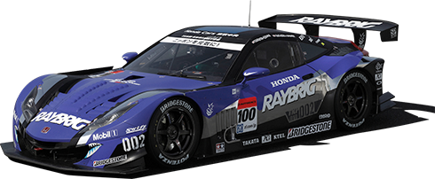 RAYBRIG HSV-010