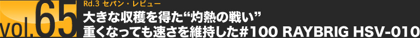 vol.65 Rd.3 ZpEr[ 傫Ȏn𓾂gܔM̐킢hdȂĂێ#100 RAYBRIG HSV-010
