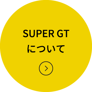 SuperGTɂ