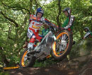 8 CMX