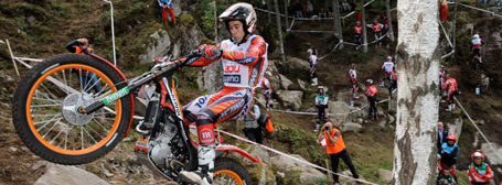 ��8�� �X�E�F�[�f��