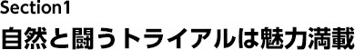 Section1 RƓgCA͖͖