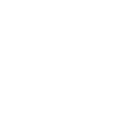Discover the Joy of Driving the WR-V