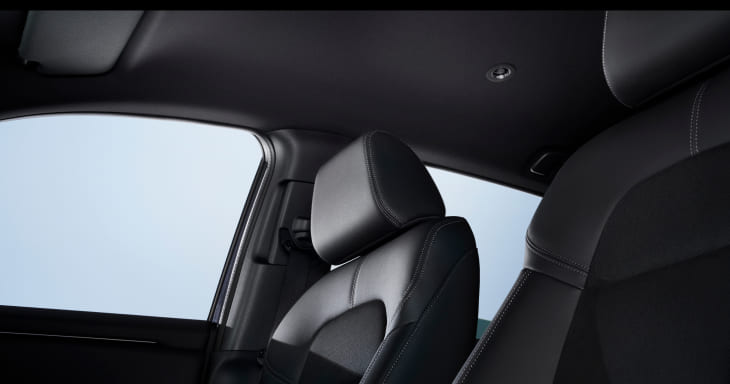 ブラック・ルーフライニング