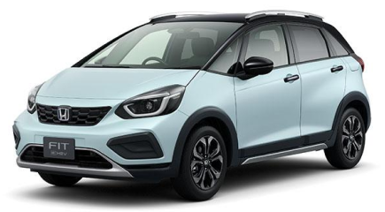FIT CROSSTAR