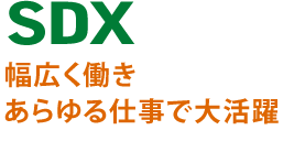 SDX Ldő劈