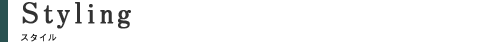 スタイル
