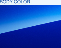 BODY COLOR