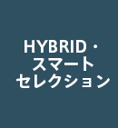 HYBRIDEX}[gZNV