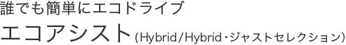 NłȒPɃGRhCuGRAVXg(Hybrid/HybridEWXgZNVj