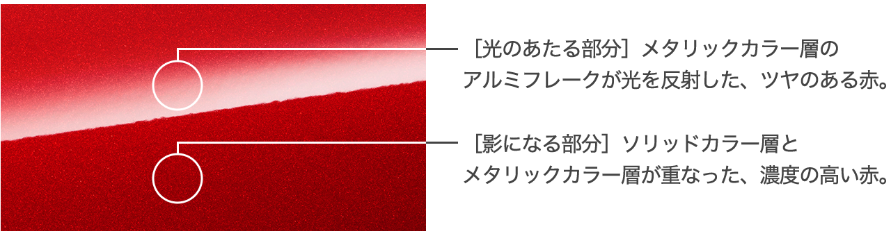 「光のあたる部分」で艶を、「影の部分」で燃えるような情熱を表現。