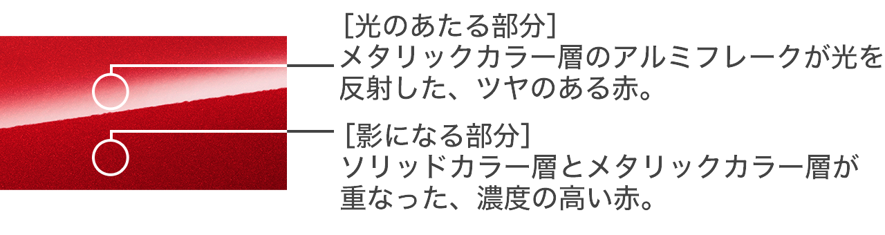 「光のあたる部分」で艶を、「影の部分」で燃えるような情熱を表現。